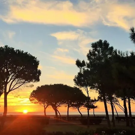 A 50 Metres De La Plage * Argeles-sur-Mer