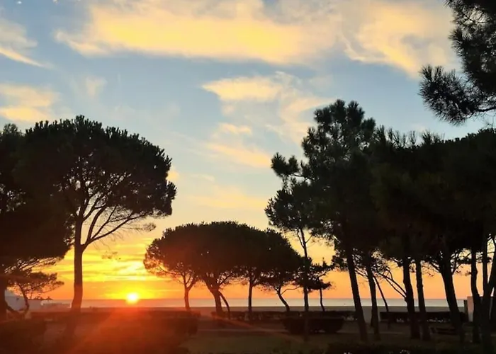 A 50 Metres De La Plage * Argeles-sur-Mer